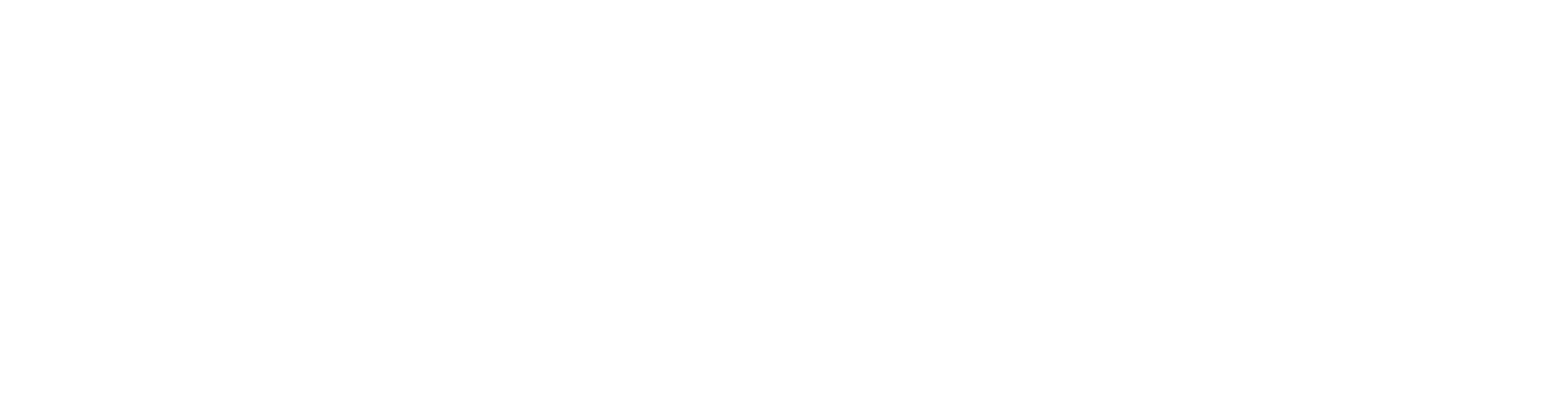 Nevynuts_Logo_White